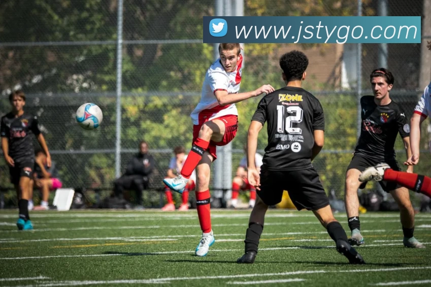 App Interface Preview